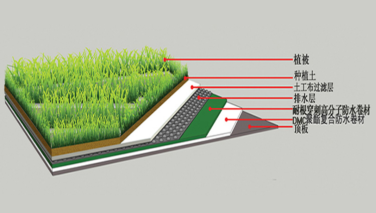 种植屋面系统
